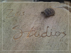 Отель Zas Studios  Наксос